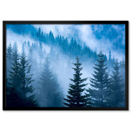 Plakat w ramie Sosnowy las w niebieskiej mgle