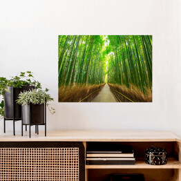 Plakat samoprzylepny Bambusowy las w Kyoto