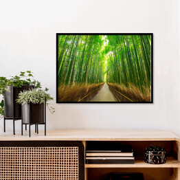 Plakat w ramie Bambusowy las w Kyoto