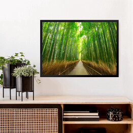 Obraz w ramie Bambusowy las w Kyoto