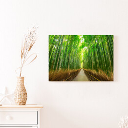 Obraz na płótnie Bambusowy las w Kyoto