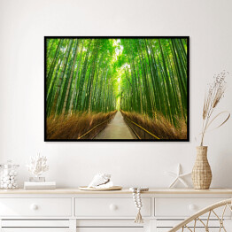 Plakat w ramie Bambusowy las w Kyoto