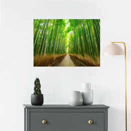 Plakat Bambusowy las w Kyoto