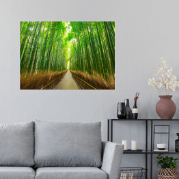 Plakat samoprzylepny Bambusowy las w Kyoto