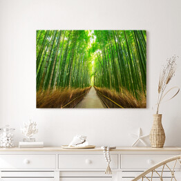 Obraz na płótnie Bambusowy las w Kyoto