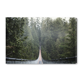 Obraz na płótnie Most wiszący w mglisty dzień, Vancouver, Kolumbia Brytyjska, Kanada