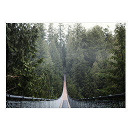 Plakat samoprzylepny Most wiszący w mglisty dzień, Vancouver, Kolumbia Brytyjska, Kanada