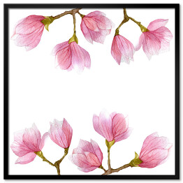 Plakat w ramie Ilustracja z gałązkami kwitnącej magnolii 