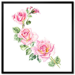 Plakat w ramie Ułożone różowe róże 
