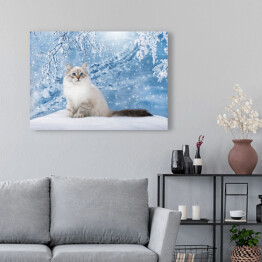 Obraz na płótnie Kot o niebieskich oczach na tle zimowego lasu
