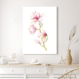 Obraz na płótnie Akwarela - magnolia - kwiatek 