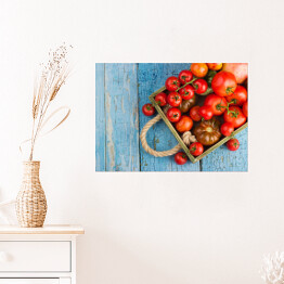 Plakat samoprzylepny Zbiór różnych rodzajów czerwonych pomidorów