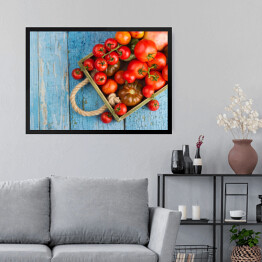Obraz w ramie Zbiór różnych rodzajów czerwonych pomidorów
