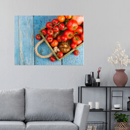 Plakat Zbiór różnych rodzajów czerwonych pomidorów