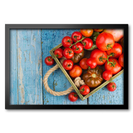 Obraz w ramie Zbiór różnych rodzajów czerwonych pomidorów