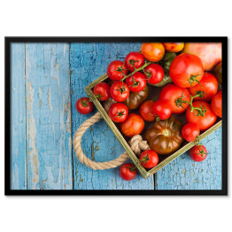 Plakat w ramie Zbiór różnych rodzajów czerwonych pomidorów