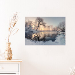 Plakat Zimowe słońce oświetlające mroźne drzewa rano
