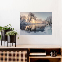Plakat samoprzylepny Zimowe słońce oświetlające mroźne drzewa rano