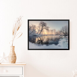 Obraz w ramie Zimowe słońce oświetlające mroźne drzewa rano