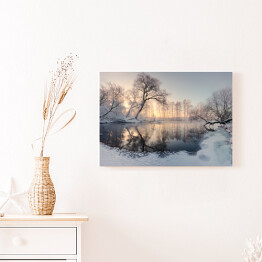Obraz na płótnie Zimowe słońce oświetlające mroźne drzewa rano