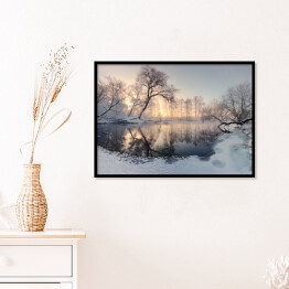 Plakat w ramie Zimowe słońce oświetlające mroźne drzewa rano