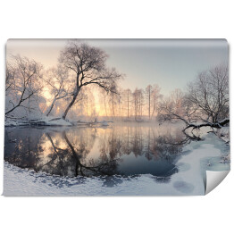 Fototapeta winylowa zmywalna Zimowe słońce oświetlające mroźne drzewa rano