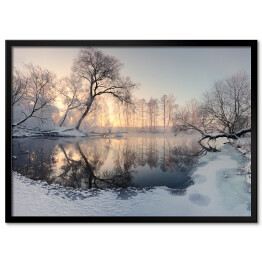 Plakat w ramie Zimowe słońce oświetlające mroźne drzewa rano