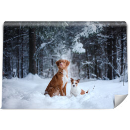 Fototapeta Dwa psy w zimowym lesie