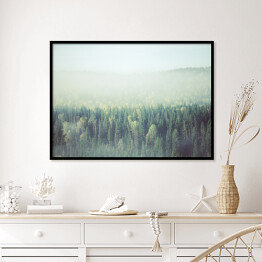 Plakat w ramie Gęsta poranna mgła w lesie iglastym