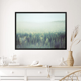 Obraz w ramie Gęsta poranna mgła w lesie iglastym