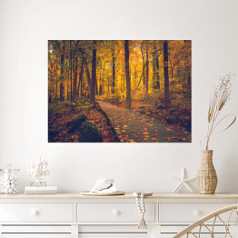 Plakat samoprzylepny Jesienny złocisty las