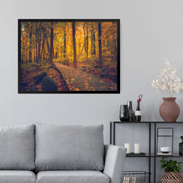 Obraz w ramie Jesienny złocisty las