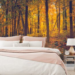 Fototapeta samoprzylepna Jesienny złocisty las