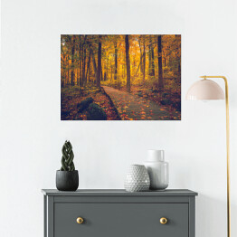 Plakat samoprzylepny Jesienny złocisty las