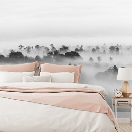 Fototapeta samoprzylepna Drzewa w gęstej mgle
