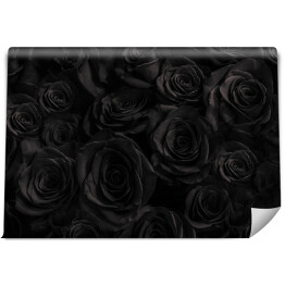 Fototapeta samoprzylepna Czarne dekoracyjne róże
