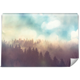 Fototapeta samoprzylepna Słońce nad lasem we mgle