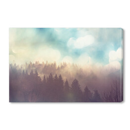 Obraz na płótnie Słońce nad lasem we mgle
