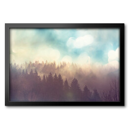 Obraz w ramie Słońce nad lasem we mgle