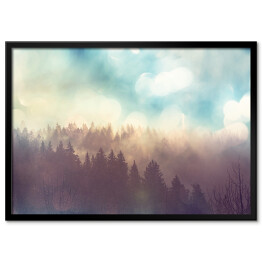Plakat w ramie Słońce nad lasem we mgle