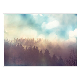 Plakat samoprzylepny Słońce nad lasem we mgle