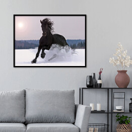 Plakat w ramie Koń galopujący po śniegu