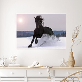 Plakat samoprzylepny Koń galopujący po śniegu