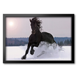 Obraz w ramie Koń galopujący po śniegu