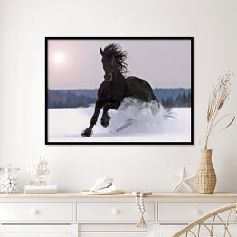 Plakat w ramie Koń galopujący po śniegu