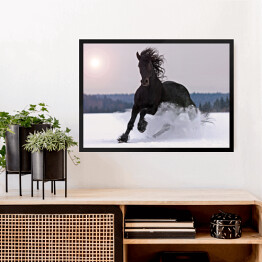 Obraz w ramie Koń galopujący po śniegu