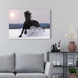 Obraz na płótnie Koń galopujący po śniegu