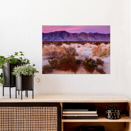 Plakat samoprzylepny Wschód słońca w Anza-Borrego Desert State Park