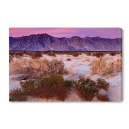 Obraz na płótnie Wschód słońca w Anza-Borrego Desert State Park