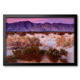Obraz w ramie Wschód słońca w Anza-Borrego Desert State Park